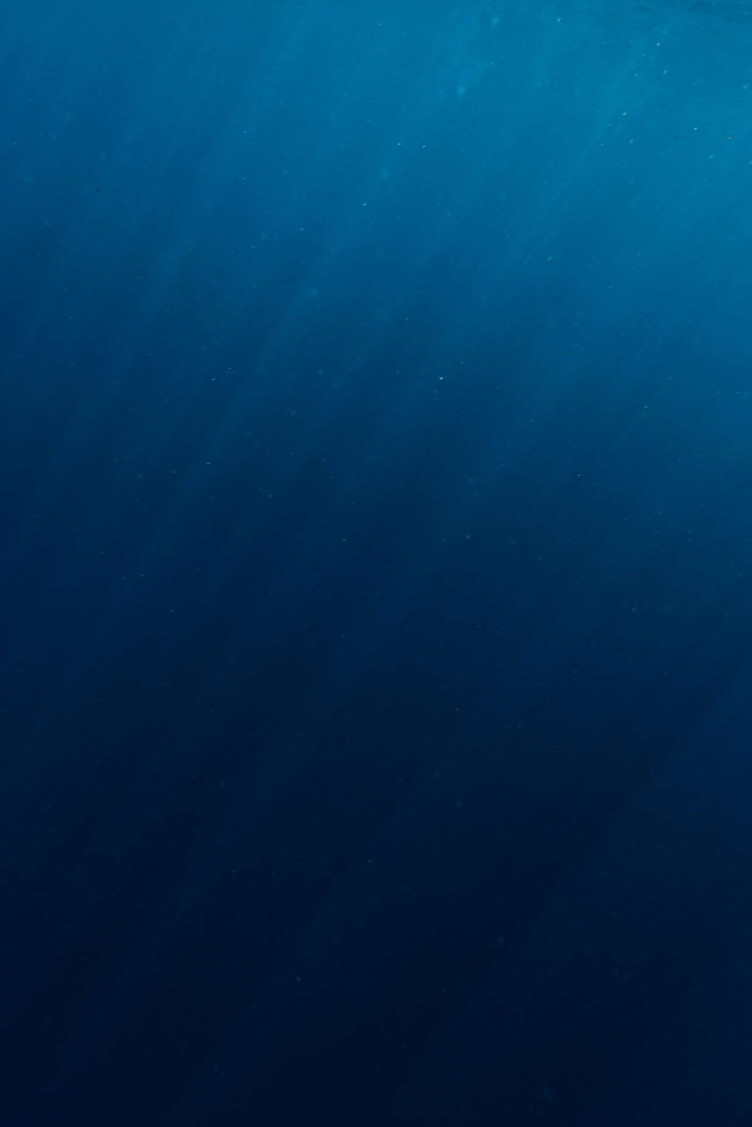 Deep blue ocean water with rays of sunlight filtering through the surface
